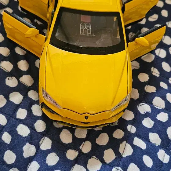 [BUNJANG] Diecast Model Cars 1:24 Scale Collection / 다이캐스트 자동차 모형 컬렉션 1:24 입니다앞에아크릴판열구닫구합니다