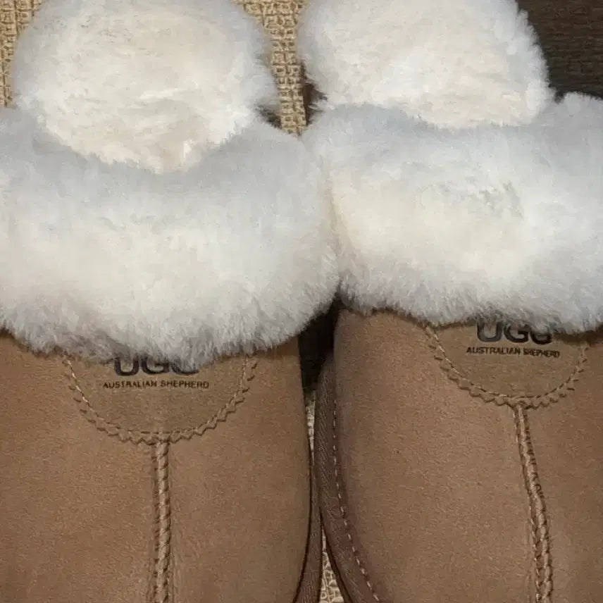 [BUNJANG] UGG Australia Chestnut Boots / UGG호주 어그