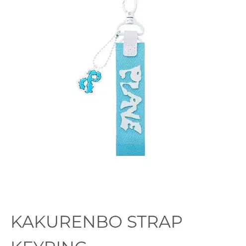 [BUNJANG] PLAVE Kakurenbo & Quantum Leap Bundle Set / (미개봉) 플레이브 카쿠렌보 키링/퀀텀리프뱃지 일괄 원가양도