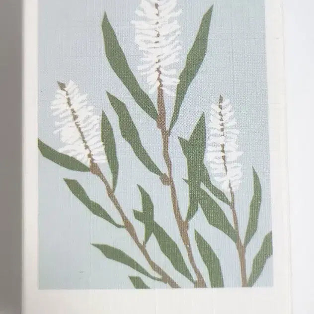 [BUNJANG] UARNN AHA/PHA Ampoule & Soybean Cleansing Foam Bundle / [미개봉] 유아른 아하파하 앰플, 유아른 콩클렌징 클렌징폼 팝니다