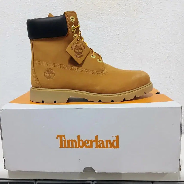 [BUNJANG] Timberland 6-Inch Premium Waterproof Boots / 팀버랜드 6인치 프리미엄 방수 부츠 새상품