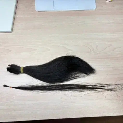 [BUNJANG] Human Hair for Sale / 머리카락 구매합니다