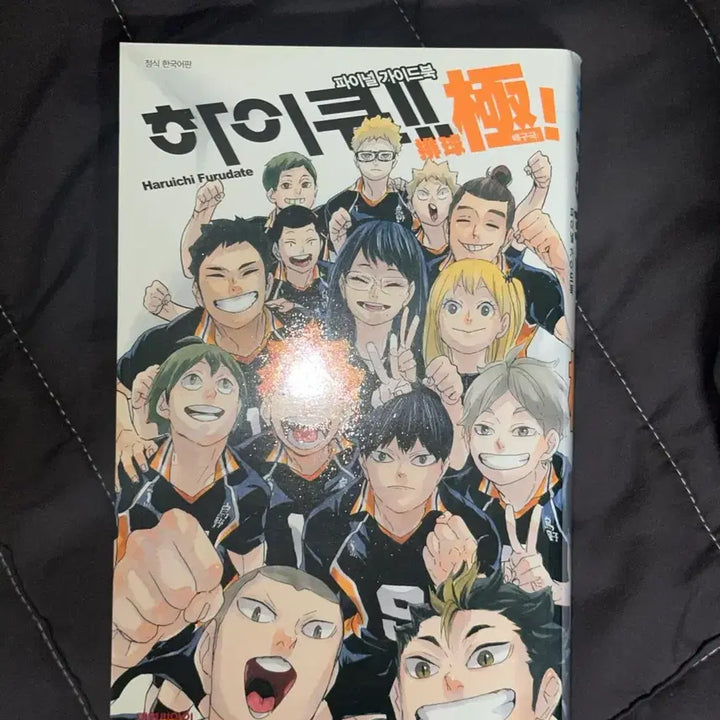 [BUNJANG] Haikyu Final Guidebook / 하이큐 파이널 가이드북