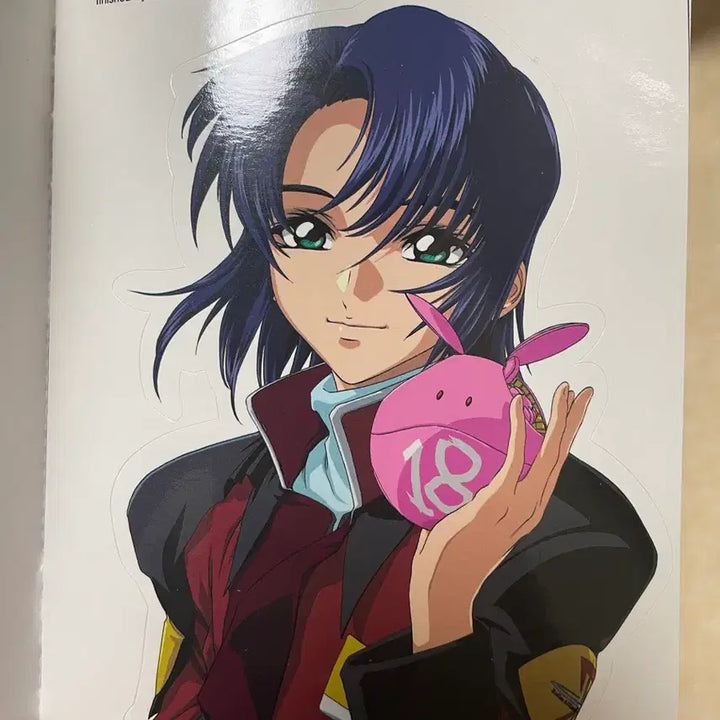 [BUNJANG] Newtype 2006 Gundam Seed Destiny Sticker Book / 뉴타입 2006년 부록 기동전사 건담 SEED DESTINY 스티커북