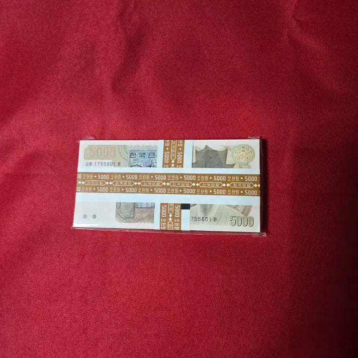 [BUNJANG] Korean 5,000 Won Bills Bundle / 3차오천원 100장다발