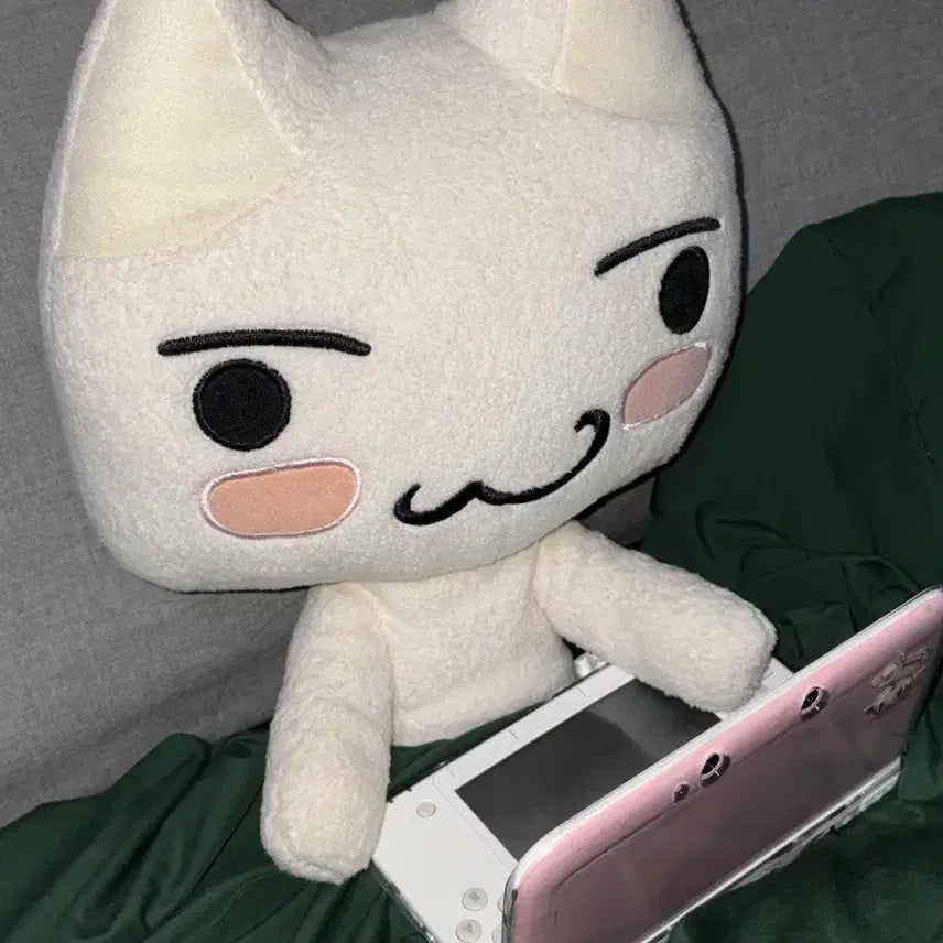 [BUNJANG] Dokodemo Issho Toro Plush Doll / 희귀) 도코데모잇쇼 이노우에 토로 인형