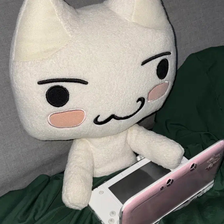 [BUNJANG] Dokodemo Issho Toro Plush Doll / 희귀) 도코데모잇쇼 이노우에 토로 인형