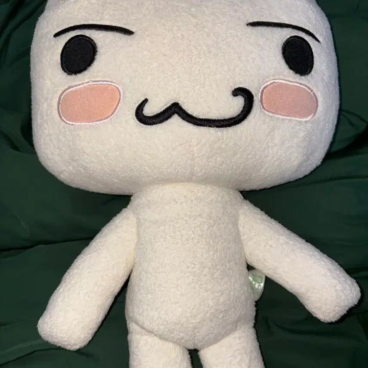 [BUNJANG] Dokodemo Issho Toro Plush Doll / 희귀) 도코데모잇쇼 이노우에 토로 인형