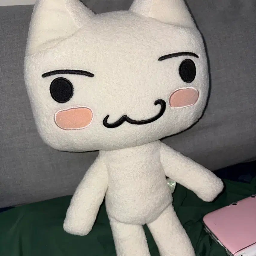 [BUNJANG] Dokodemo Issho Toro Plush Doll / 희귀) 도코데모잇쇼 이노우에 토로 인형