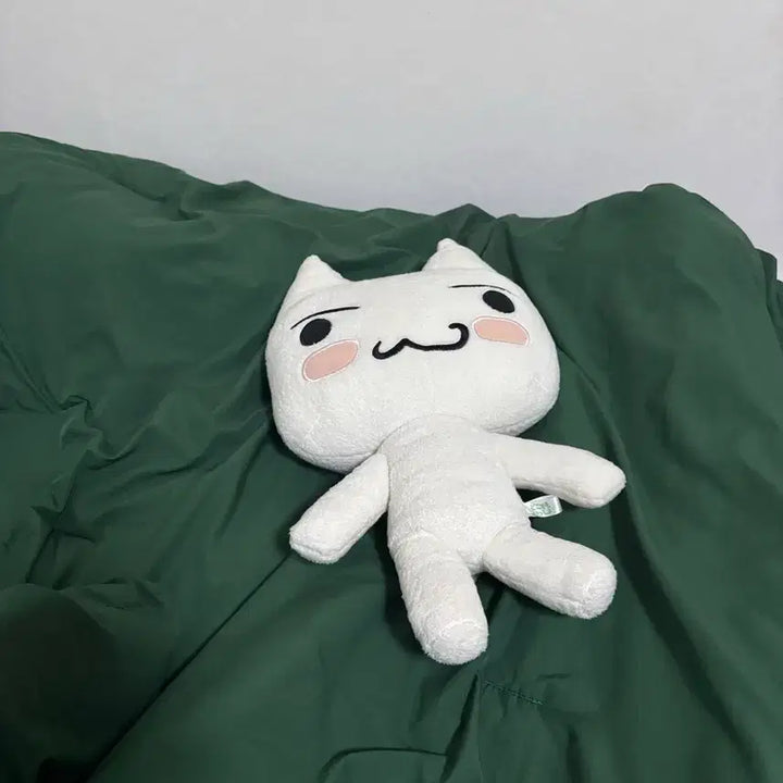 [BUNJANG] Dokodemo Issho Toro Plush Doll / 희귀) 도코데모잇쇼 이노우에 토로 인형
