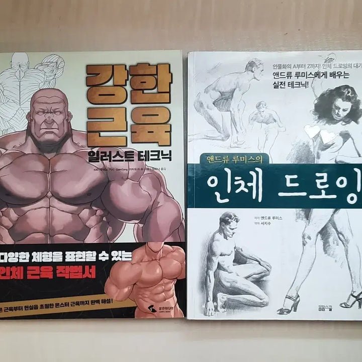 [BUNJANG] Andrew Loomis Anatomy Drawing Book Bundle / 일괄) 강한 근육 & 앤드류 루미스 인체 드로잉 그림 미술 작법서