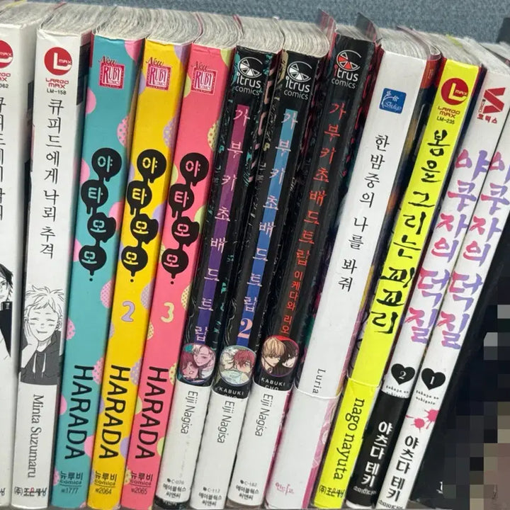 [BUNJANG] BL Manga Bundle Set / BL 만화책 일괄 판매