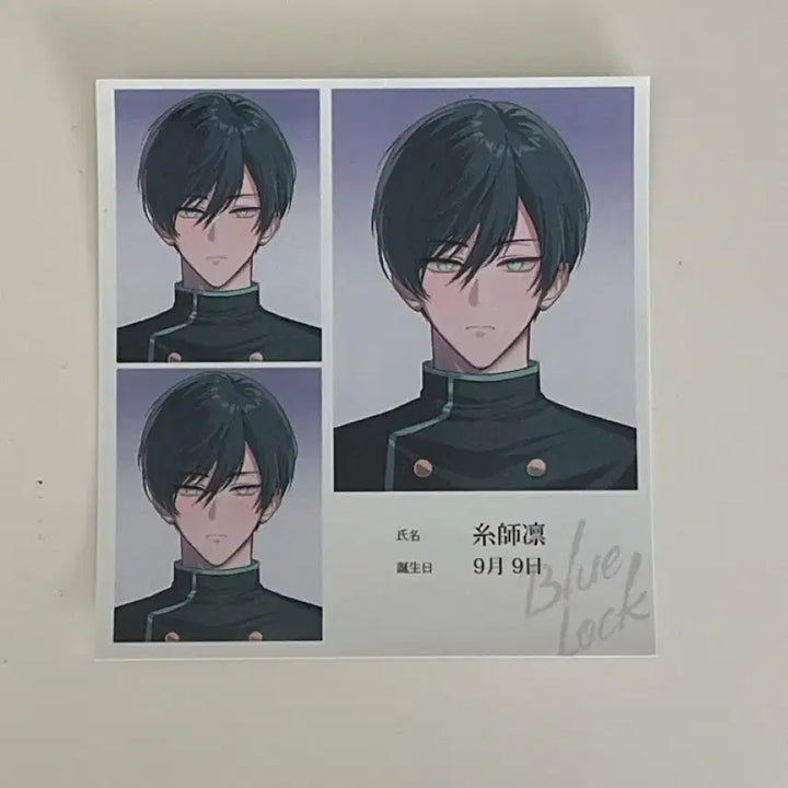 [BUNJANG] Blue Lock Itoshi Rin Unofficial ID Photo / 블루록 이토시 린 증명사진 비공굿