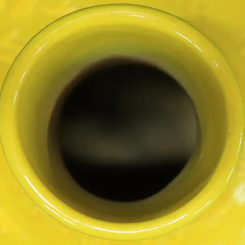 [BUNJANG] Chinese Porcelain Yellow Glaze Engraved Celestial Sphere Vase / 중국 도자기 황지 양각 천구병