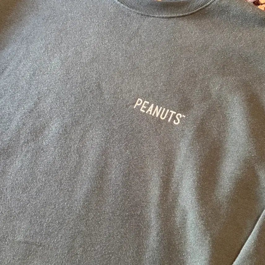 [BUNJANG] PEANUTS 75th Anniversary Sweatshirt / 피너츠 맨투맨