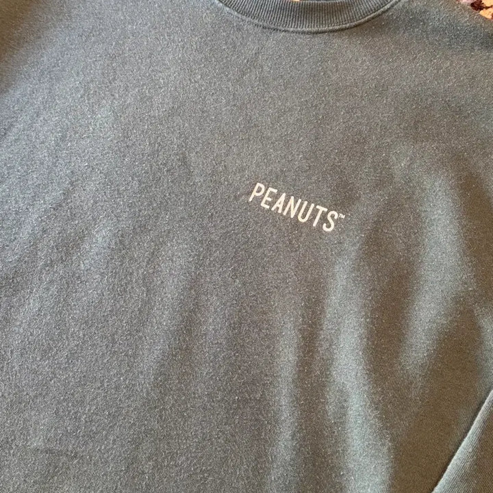 [BUNJANG] PEANUTS 75th Anniversary Sweatshirt / 피너츠 맨투맨