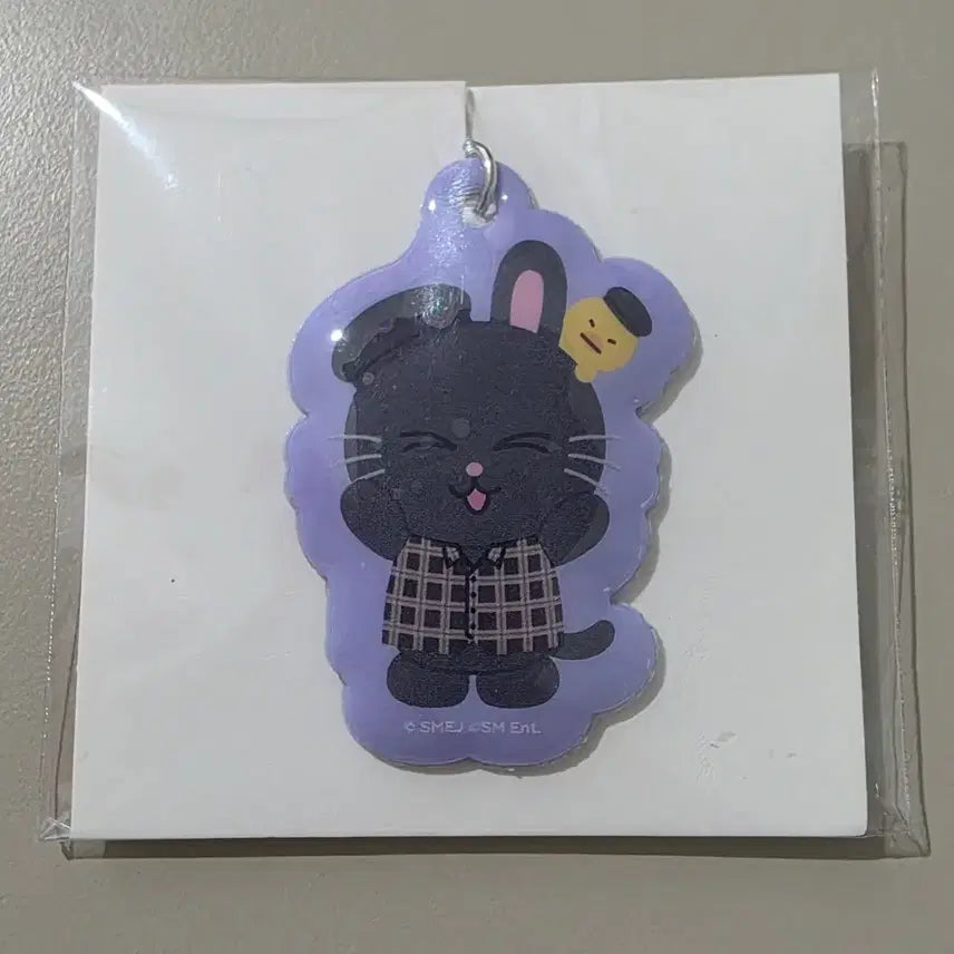 [BUNJANG] RIIZE Wonbin Tonyangduck PVC Charm / 라이즈 원빈 랜덤토이 토냥덕 pvc참