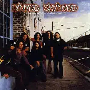 [BUNJANG] Lynyrd Skynyrd Debut Album / LYNYRD SKYNYRD