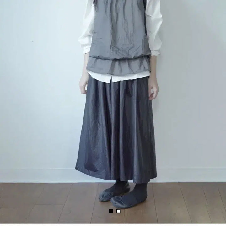 [BUNJANG] Fiebre Sheer Pleats Skirt / 피에브레 플리츠 스커트