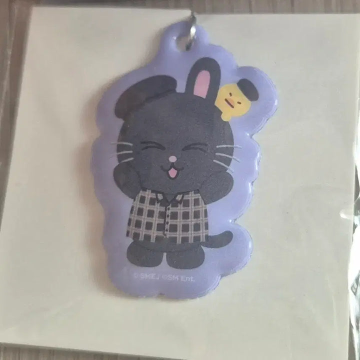 [BUNJANG] RIIZE Tokyo Dome Random Toy PVC Keyring / 라이즈 도쿄돔 랜덤토이 pvc 키링 토냥덕