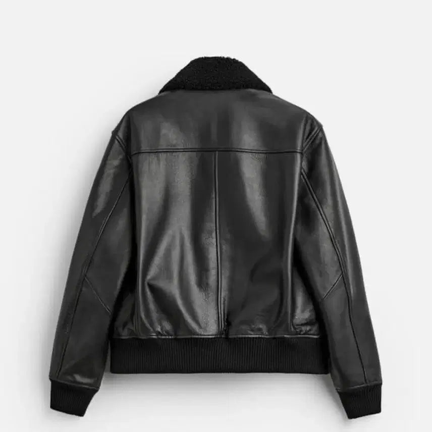 [BUNJANG] ZARA Leather Aviator Jacket - L / 자라 레더 에비에이터 자켓 L사이즈 가죽 자켓