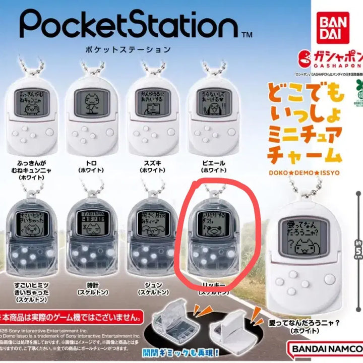 [BUNJANG] Dokodemo Issho Toro Keychain / 도코데모잇쇼 포켓스테이션 가챠 토로 키링