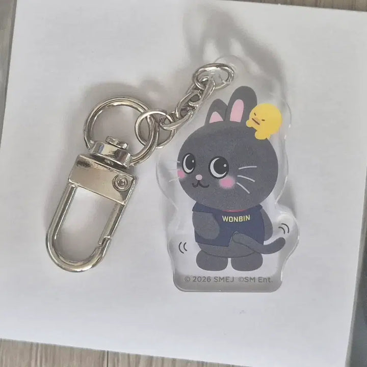 [BUNJANG] RIIZE Tokyo Dome Acrylic Keyring Key Holder / 라이즈 도쿄돔 아크릴 키링 키홀더 토냥덕