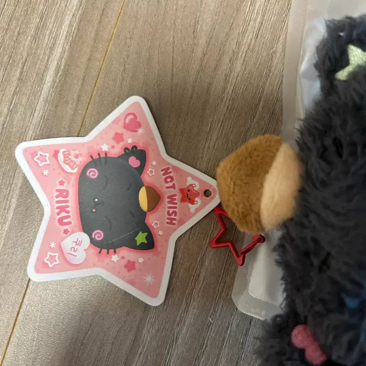 [BUNJANG] Wishdol Kuri Doll / 위시돌 쿠리 (2024년 10월 구매)