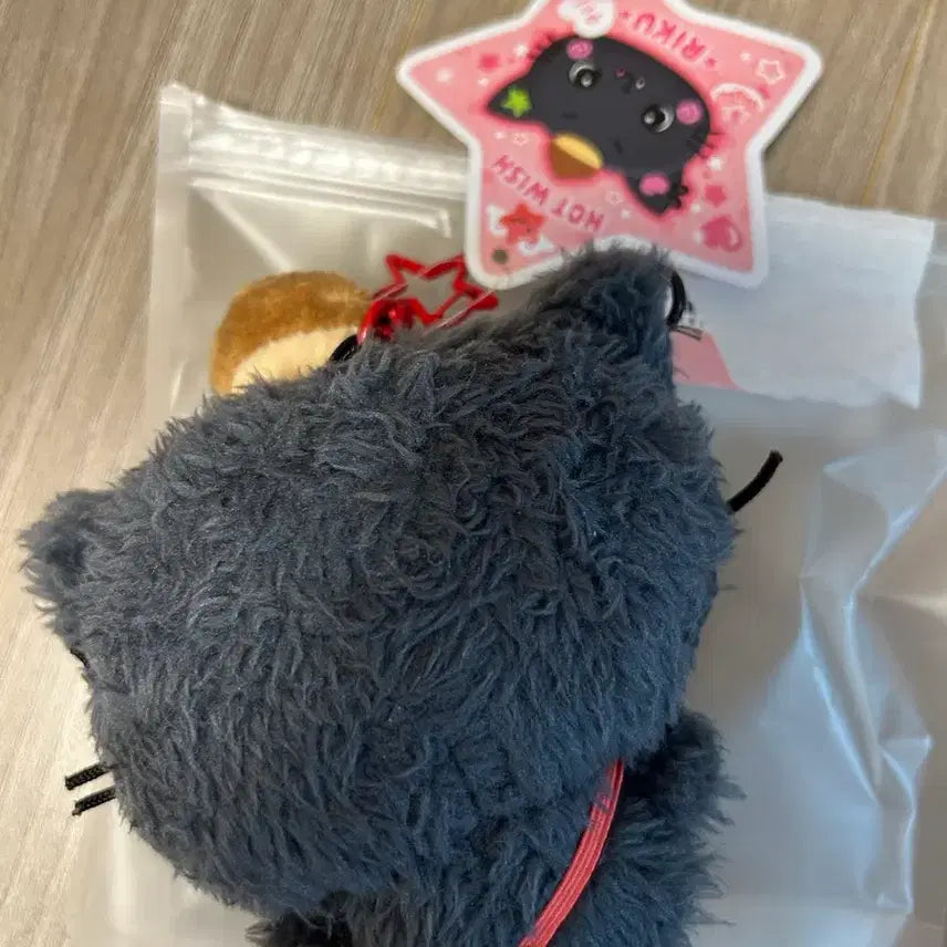 [BUNJANG] Wishdol Kuri Doll / 위시돌 쿠리 (2024년 10월 구매)