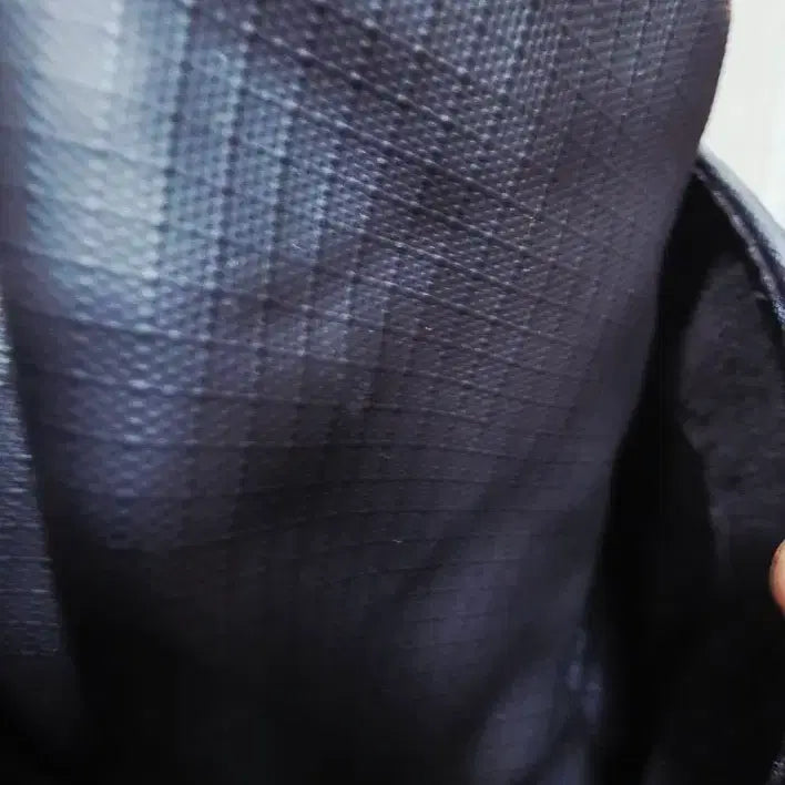 [BUNJANG] Thule Backpack / 툴레 백팩