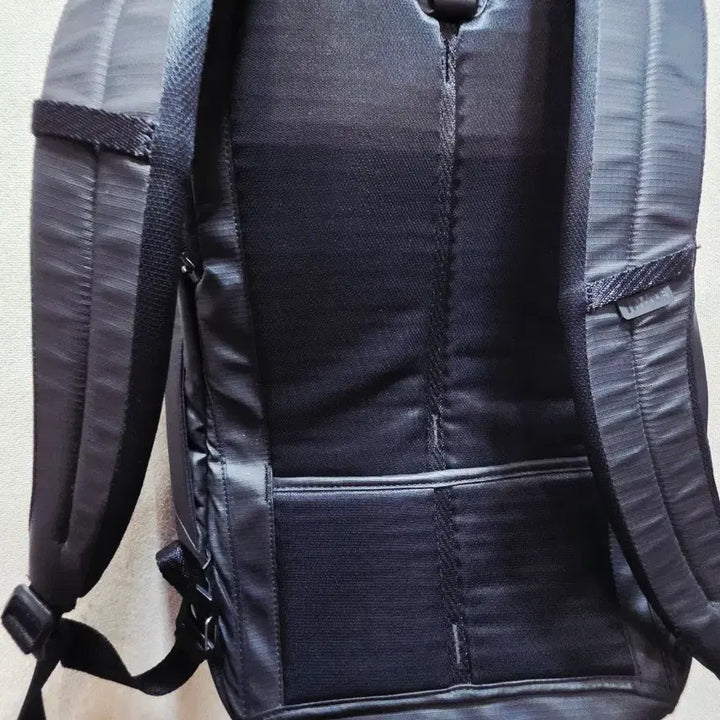 [BUNJANG] Thule Backpack / 툴레 백팩