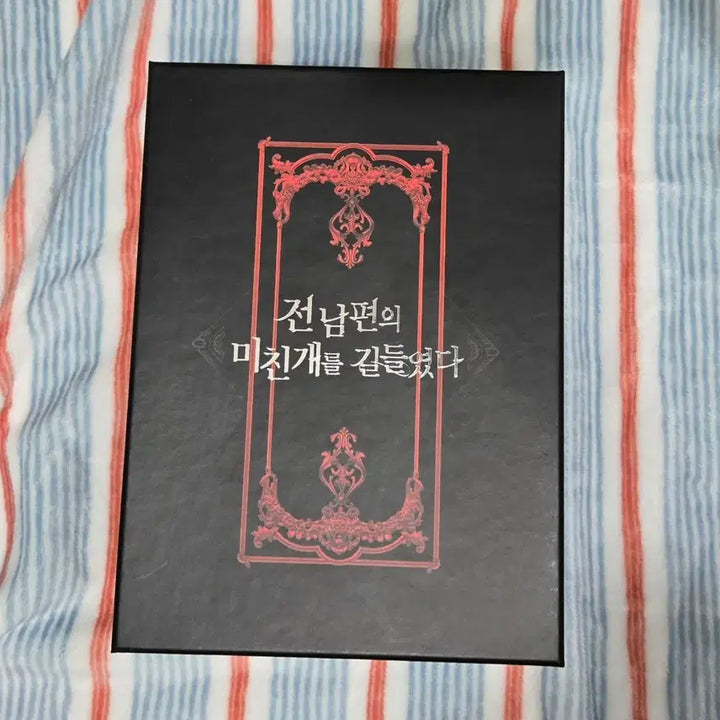 [BUNJANG] Taming the Ex-Husband's Mad Dog Complete Set / 전남편의 미친개를 길들였다 전권~