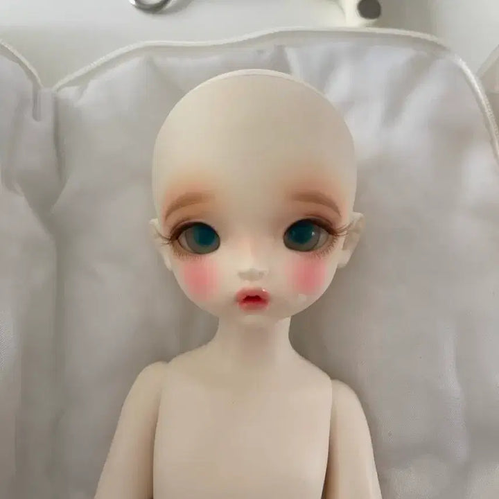 [BUNJANG] Chicabi Molly Doll Bundle Set / 치카비 구체관절인형 (베베:밀크 몰리) 일괄판매