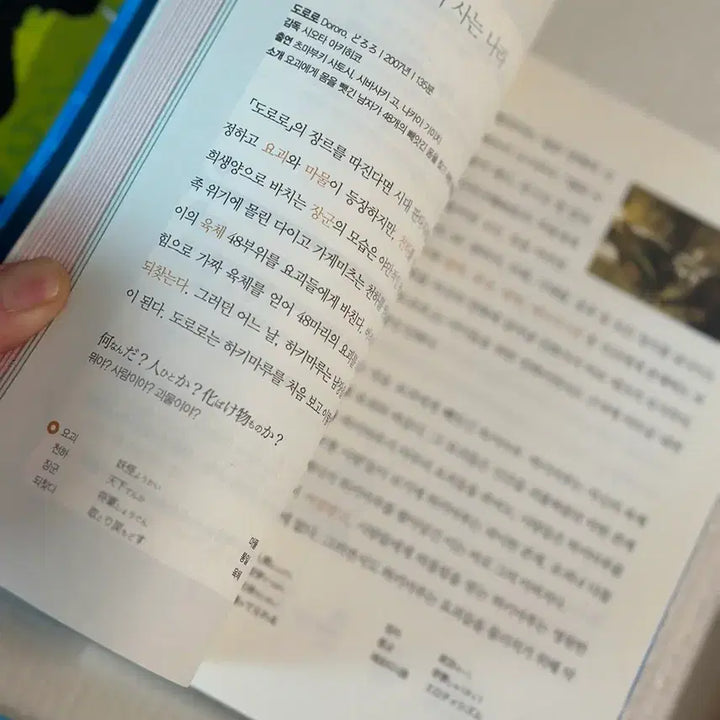 [BUNJANG] Japanese Language Learning Book Bundle / 일본 문화/ 일본어 학습 도서5권 일괄 판매