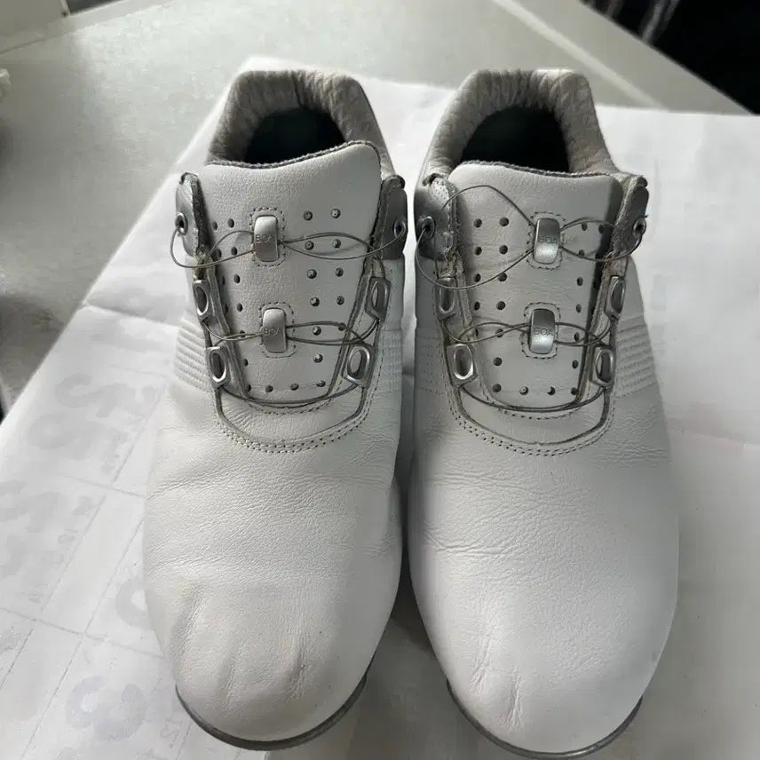 [BUNJANG] FootJoy PRO SL Golf Shoes 250mm / 풋조이 PRO SL 골프화250mm