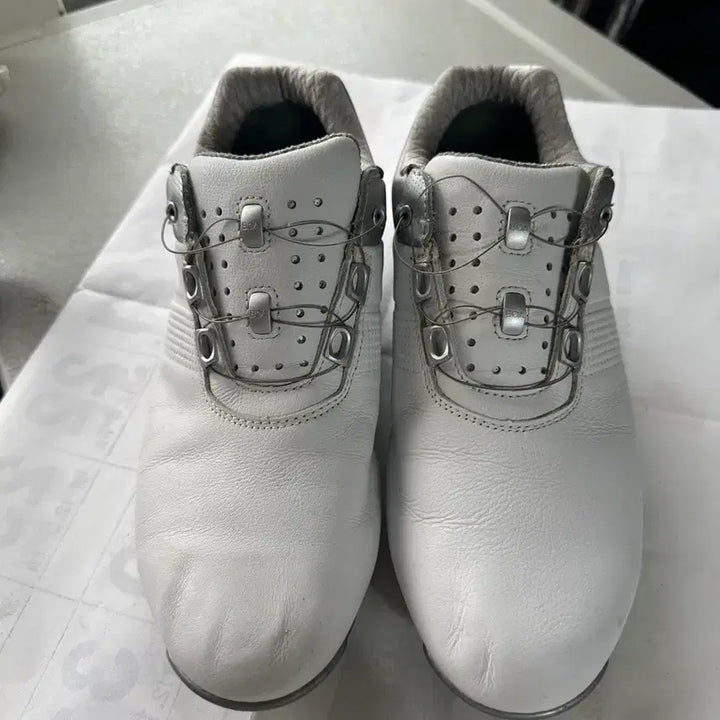 [BUNJANG] FootJoy PRO SL Golf Shoes 250mm / 풋조이 PRO SL 골프화250mm