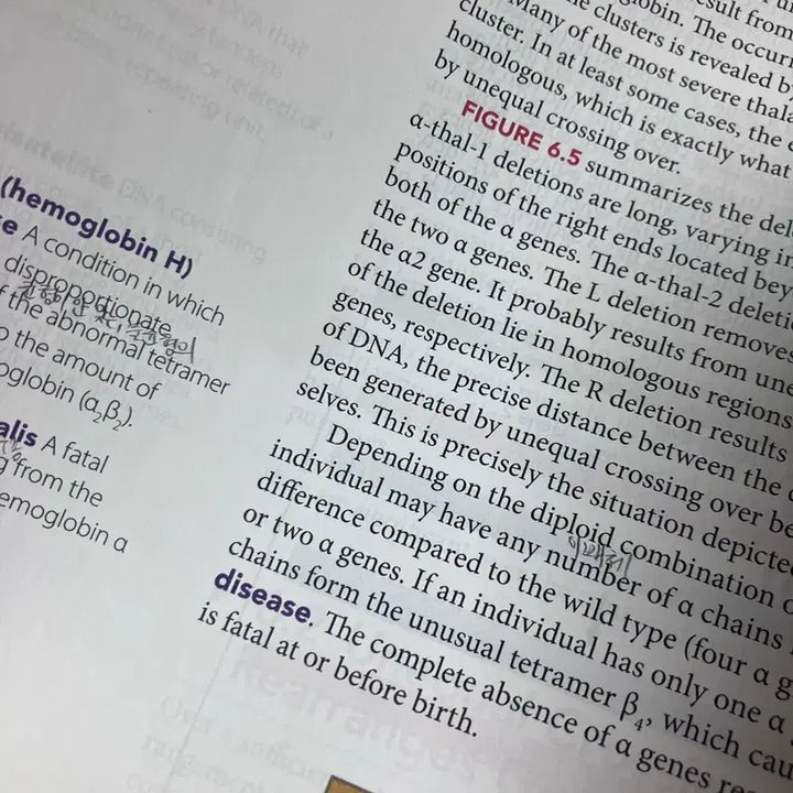 [BUNJANG] Lewins Essential Genes Fourth Edition Textbook / Lewins Essential Genes Fourth Edition