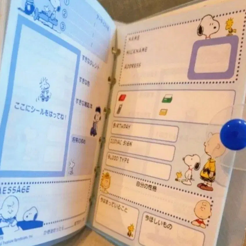 [BUNJANG] Snoopy and Charlie Brown Diary / 스누피 다이어리,찰리브라운 다이어리