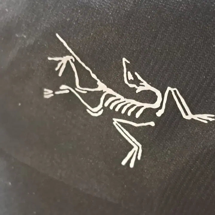 [BUNJANG] Arc'teryx Ball Cap Mesh Cap / 아크테릭스 볼캡 F(57)