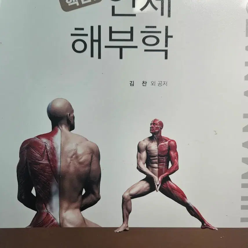 [BUNJANG] Eunhaksa Human Anatomy Textbook / 핵심 인체 해부학 은학사