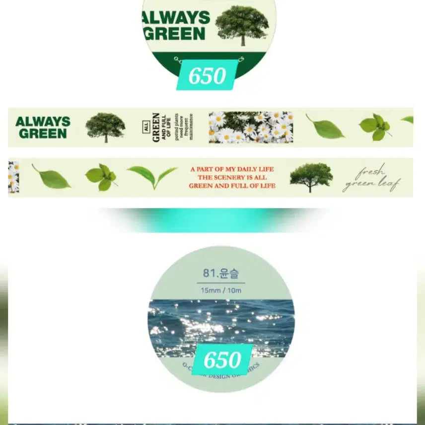 [BUNJANG] Livework, Gate17, Bitb.it, Lovers Pick Me Washi Tape Bundle / [다꾸, 마테띵] 24종) 라이브워크, 게이트17, 빗비이빗 등등