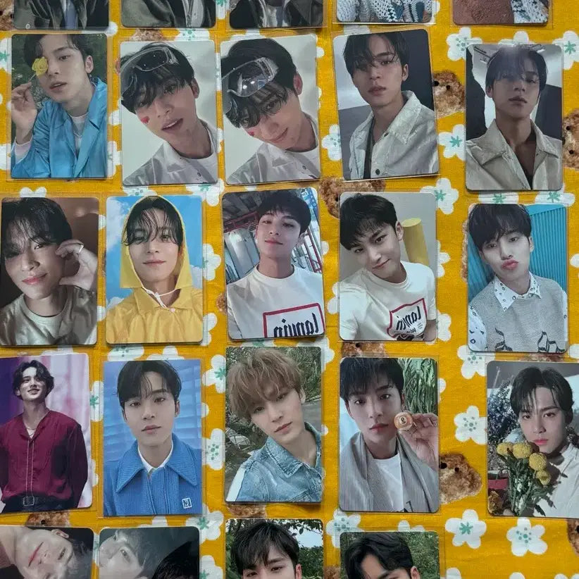 [BUNJANG] Seventeen Photocard / 세븐틴 포카 양도합니다