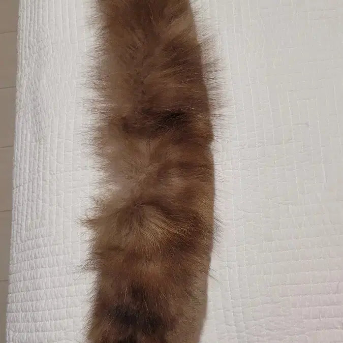 [BUNJANG] NICE CLAUP Alpaca Coat (Size 55) / 나이스클랍 알파카코트 55
