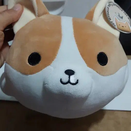 [BUNJANG] Welsh Corgi Plush Doll / 귀여운 말랑 웰시코기 인형