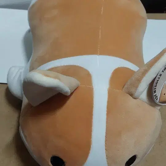 [BUNJANG] Welsh Corgi Plush Doll / 귀여운 말랑 웰시코기 인형