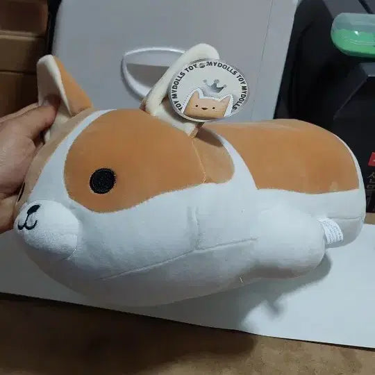[BUNJANG] Welsh Corgi Plush Doll / 귀여운 말랑 웰시코기 인형