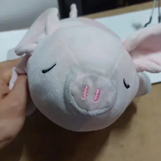 [BUNJANG] Mochi Mochi Sleeping Cushion Doll / 모찌모찌 꿀잠쿠션 인형