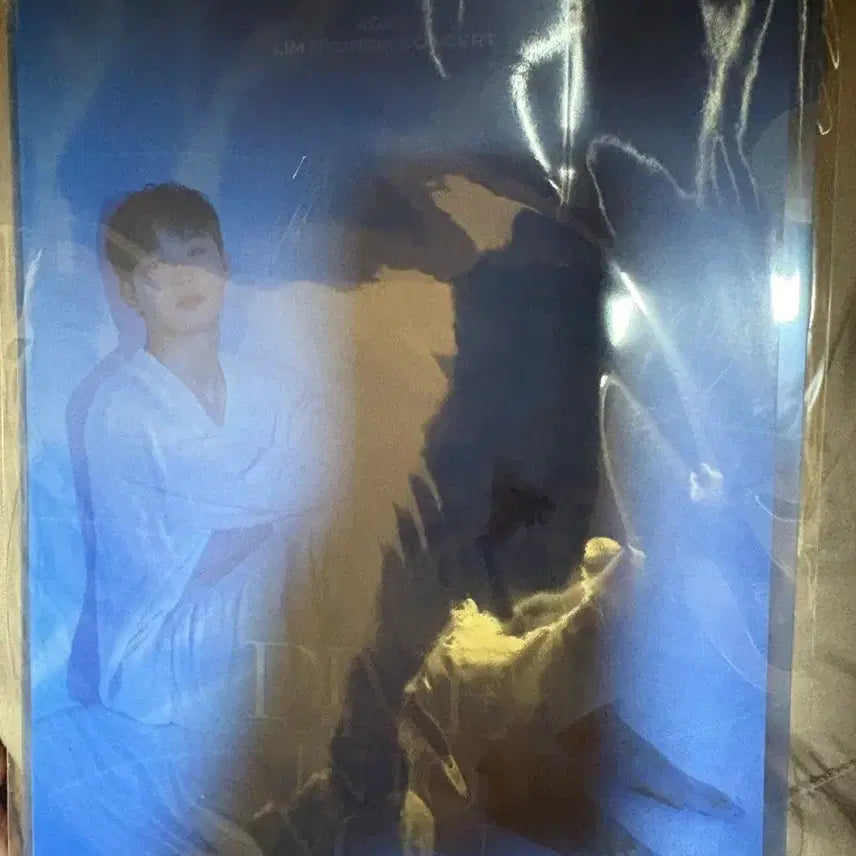 [BUNJANG] BTOB Im Hyunsik Dive into you Concert L-File / 비투비 임현식 단콘 l파일