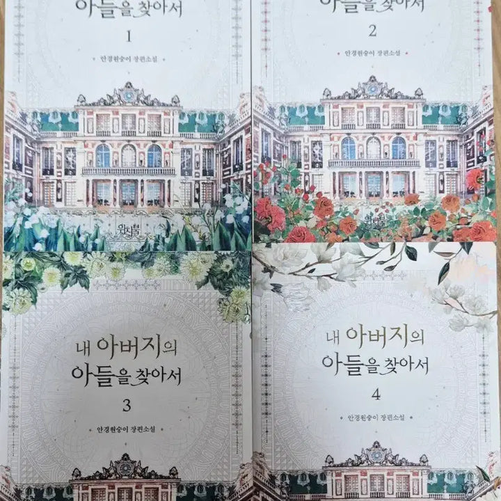 [BUNJANG] Finding My Father's Son Novel / 내 아버지의 아들을 찾아서 내아찾 안경원숭이 로판