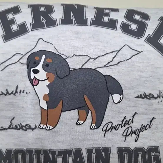 [BUNJANG] Project M Semi-Oversized Gray Sweatshirt / 프로젝트엠 세미오버핏 맨투맨